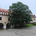 Sandomierz