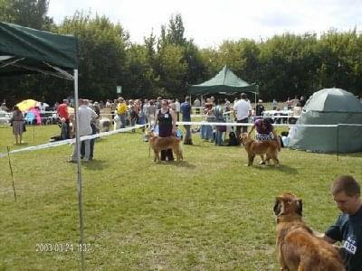 #leonberger #AptekaNatury