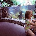 06.08.2008