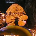 06.08.2008