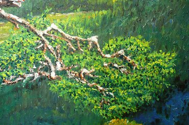 Sosna w Pieninach
( obraz olejny malowany na płótnie 70x100 cm 2008r )
(cena 300 zł + wysyłka) #drzewo #prezent #obraz #natura #las #góry #przyroda #sztuka #olej