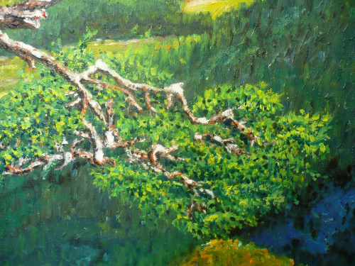 Sosna w Pieninach
( obraz olejny malowany na płótnie 70x100 cm 2008r )
(cena 300 zł + wysyłka) #drzewo #prezent #obraz #natura #las #góry #przyroda #sztuka #olej