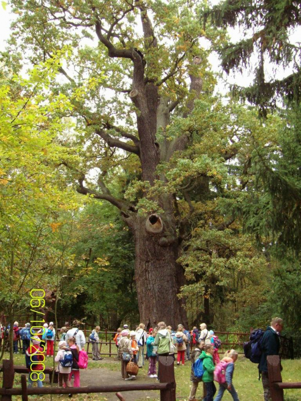 Przemkowski Park Krajobrazowy - szkolna wycieczka 2008