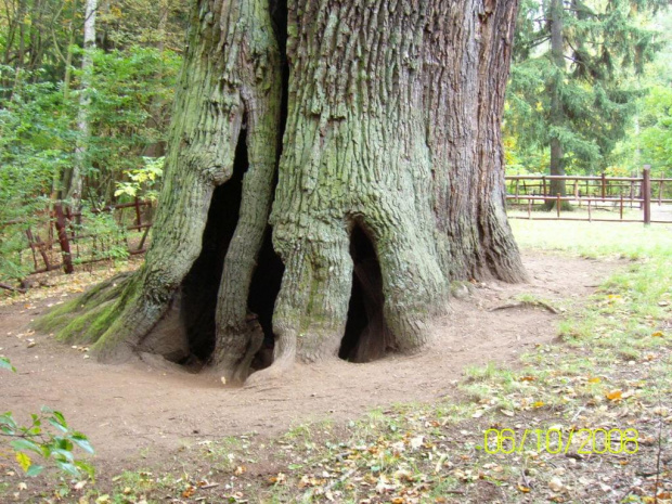 Przemkowski Park Krajobrazowy - szkolna wycieczka 2008