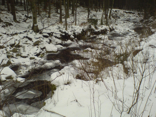 Śnieżnik, droga ze schroniska do Międzygórza #ŚnieżnikKłodzkiSudetyMiędzygórze