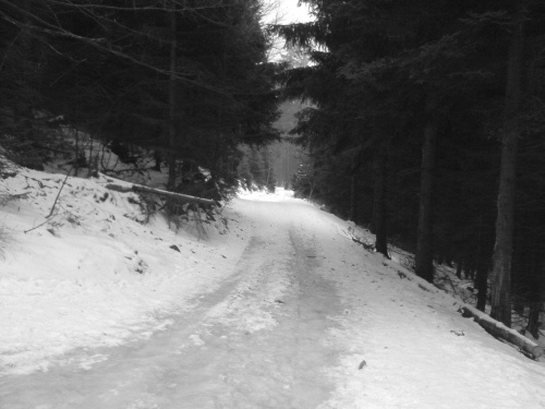 Droga ze schroniska na Śnieżniku w kierunku Międzygórza #ŚnieżnikSudety