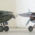 PZL P.24G