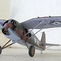 PZL P.24G