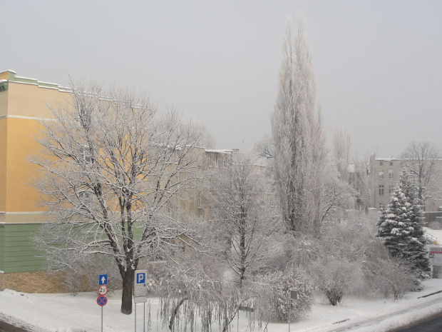 Krajobraz po mglistej nocy, i temperaturze -23 Stopni #zima #święta #śnieg #miasto #Racibórz #Raciborz #śląskie #slaskie #mróz #ozdoby #świąteczne #szadź #szadz