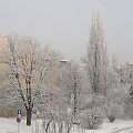 Krajobraz po mglistej nocy, i temperaturze -23 Stopni #zima #święta #śnieg #miasto #Racibórz #Raciborz #śląskie #slaskie #mróz #ozdoby #świąteczne #szadź #szadz