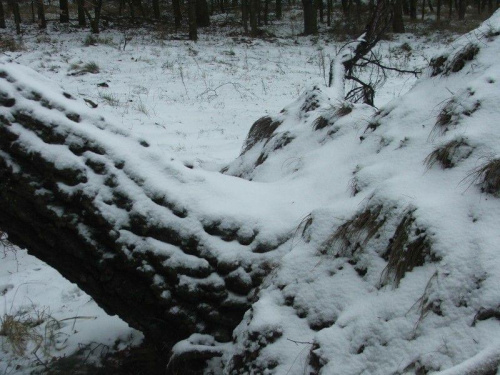 w końcu na minusie i śnieg!