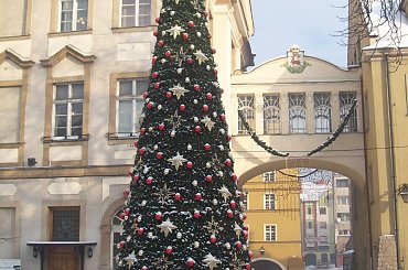 Choinka przed ratuszem w Jeleniej Górze. #JeleniaGóra #choinka #zima #święta #ratusz #rynek