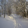 Droga/ ulica Tartaczna/ Dworska, trochę zawiana. Zawróciliśmy.