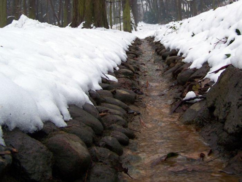 strumyk płynie z wolna #Warszawa #park #zima