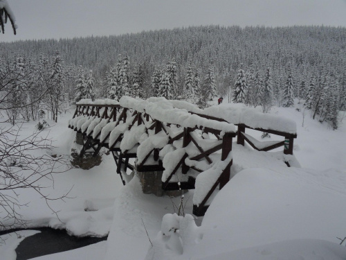 Malowniczy most, piesze przejście graniczne Orle - Jizerka, jeszcze w srogiej zimowej scenerii :) #PrzejścieGraniczne #jizerka #czechy #zima #GóryIzerskie