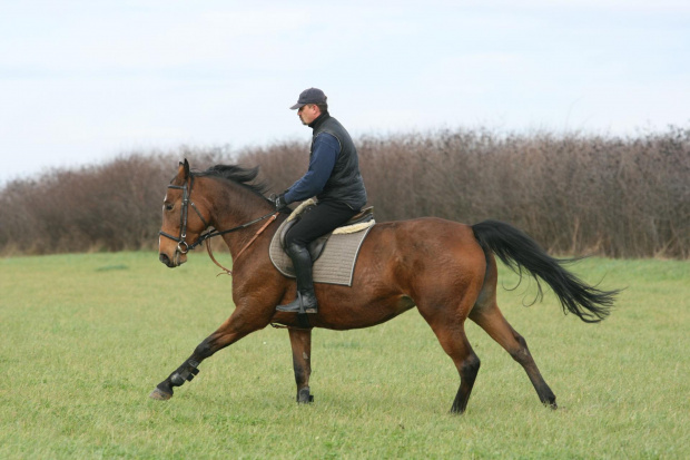 Hubertus u Smalirów Krasnystaw grudzień 2010 r CowboY wraz z Mistyką