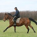 Hubertus u Smalirów Krasnystaw grudzień 2010 r CowboY wraz z Mistyką