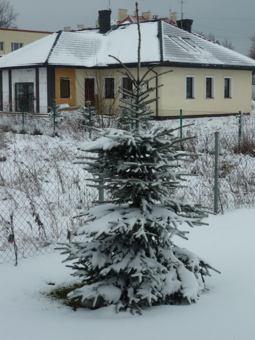 #Zima #wioska #śnieg #futrzaki