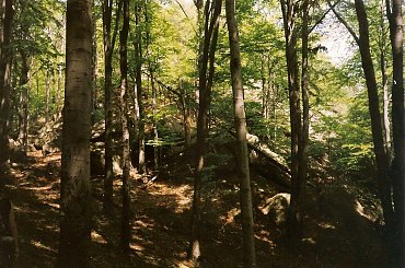 #góry #Karkonosze #krajobraz #park #szczyty #widoki