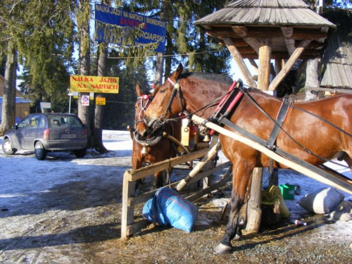 Gubałówka