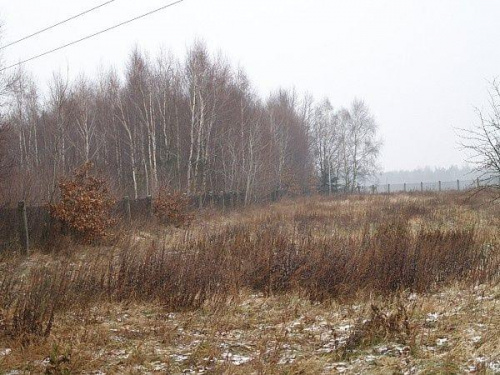 Do końca płotu i lasek po lewej też nasz