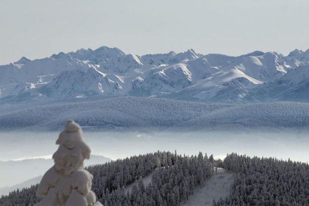 Tatry Wysokie z Rycerzowej #góry #BeskidŻywiecki #tatry