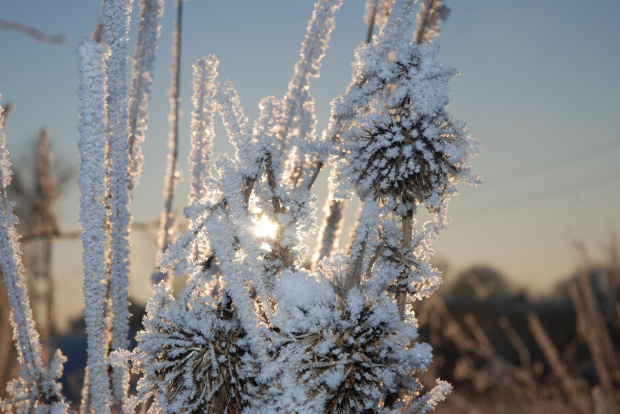 zima #zima #widoki #przyroda #śnieg