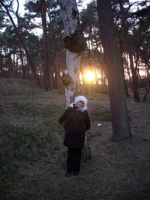 sanat_dabki