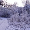 #zima #śnieg #Mazury #mróz #natura #las #przyroda #krajobraz