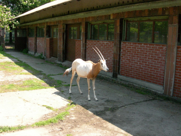 CHORZOWSKIE ZOO WYPRAWA NR 2 :]