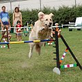 PP Agility Białystok 22.07.2007