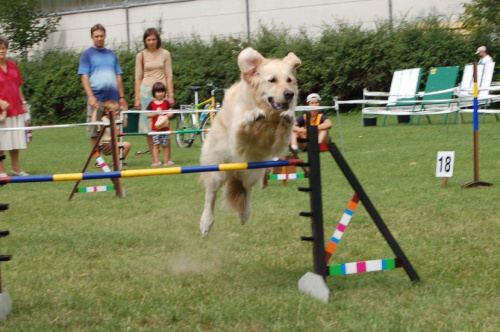 PP Agility Białystok 22.07.2007