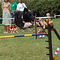 PP Agility Białystok 22.07.2007