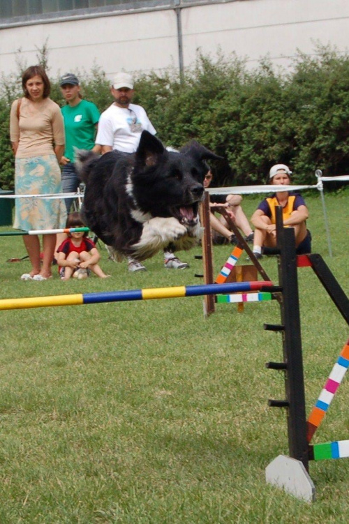 PP Agility Białystok 22.07.2007