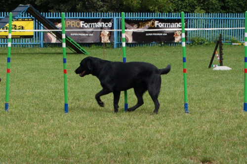 PP Agility Białystok 22.07.2007