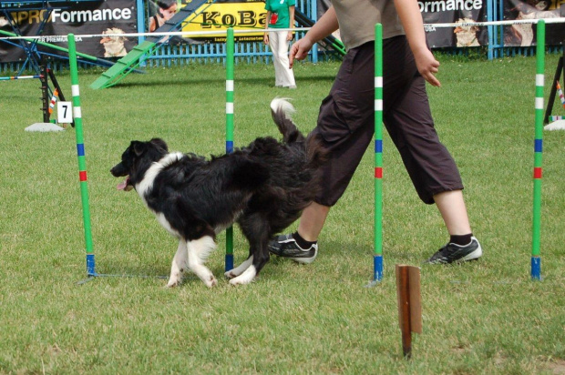 PP Agility Białystok 22.07.2007