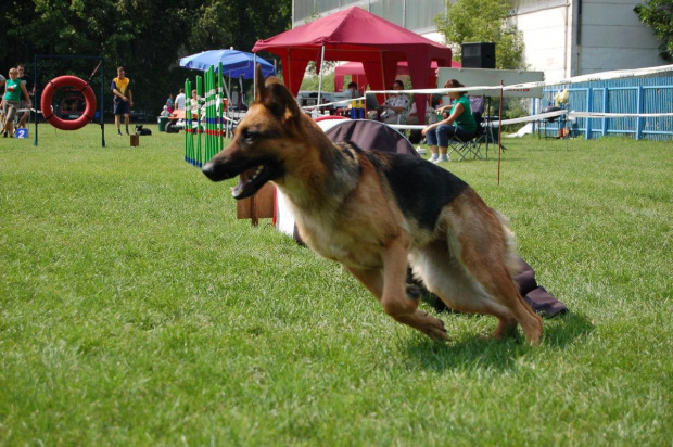 PP Agility Białystok 22.07.2007