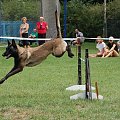 PP Agility Białystok 22.07.2007