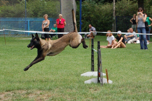 PP Agility Białystok 22.07.2007