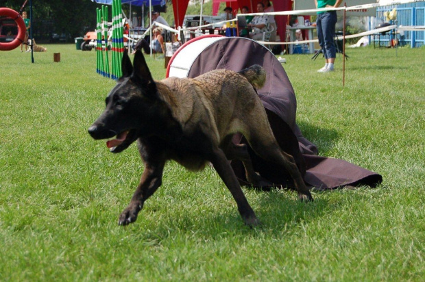 PP Agility Białystok 22.07.2007