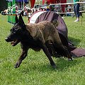 PP Agility Białystok 22.07.2007