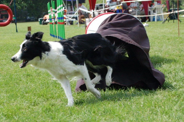 PP Agility Białystok 22.07.2007