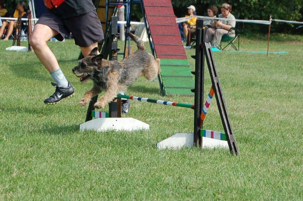 PP Agility Białystok 22.07.2007