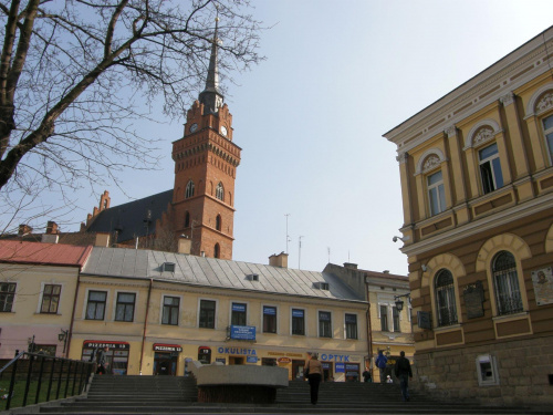 Katedra w Tarnowie.