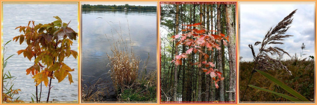 trochę fotek jesiennych...nad Wisłą #jesień #collage #NadMorzem #liście #trawy