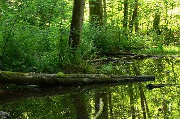 ....do poludnia przed praca .....
zabral mnie do krainy ..... #niedziela