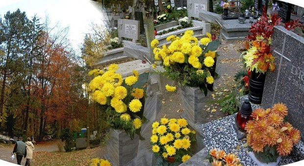 Jesień na cmentarzu #ŚwiętoZmarłych #NaCmentarzu #jesień #listopad