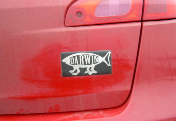 rybka Darwina