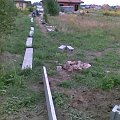 Sierpień 2008 - Grodzimy działkę - elementy - siatka, słupki, bloczki betonowe - Cablex w Rzgowie - koszt 142m ok. 7700 brutto + 16 PLN robocizny od metra