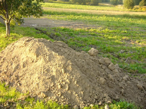 11 ton ziemi! :O Czyli większa kretowina. Pójdzie na wyrównanie pagórków i wądołków.